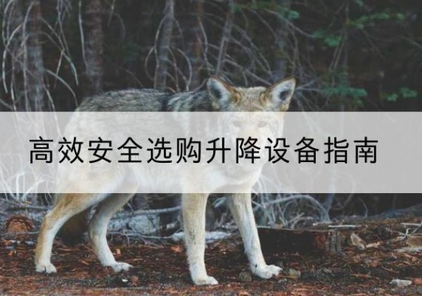 普定升降货梯厂家推荐-*安全选购升降设备指南