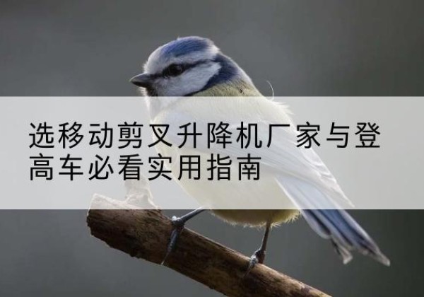 普定电动升降机厂家-选移动剪叉升降机厂家与登高车必看实用指南