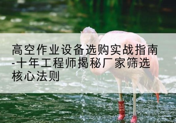 普定剪叉式升降机厂家-高空作业设备选购实战指南-十年工程师揭秘厂家筛选核心法则